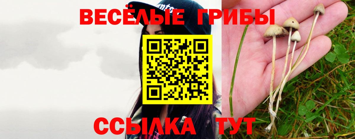 Галлюциногенные грибы ЛСД Вичуга
